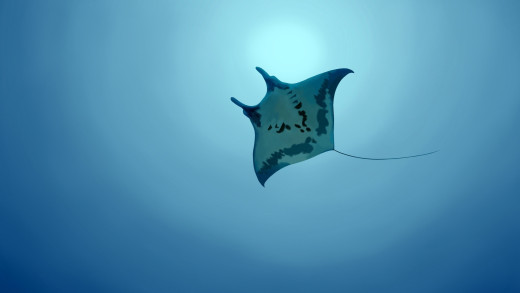 873953 (a): :2560x1440